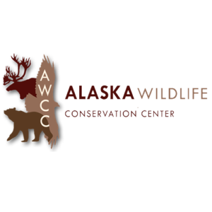 Alaska Wildlife Conservation Center - Bear Encounter Tour for 5 - Portage