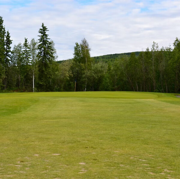 Fairbanks Golf Course - 18 holes for 2 - Fairbanks - Image 2