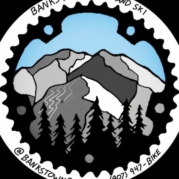 Bankstown Bike and Ski – Denago EXC2 E-Mountain Bike – Fairbanks - Image 6