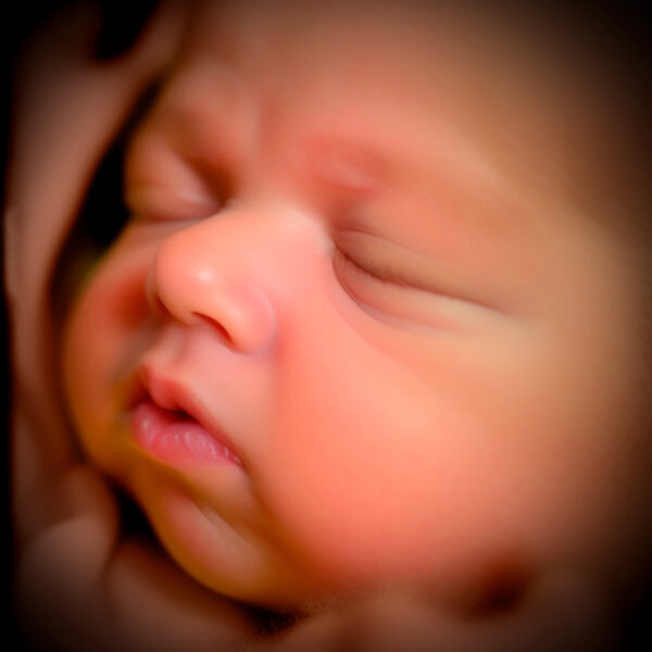 Bun in the Oven - Cutie Pie Scan - Fairbanks - Image 2