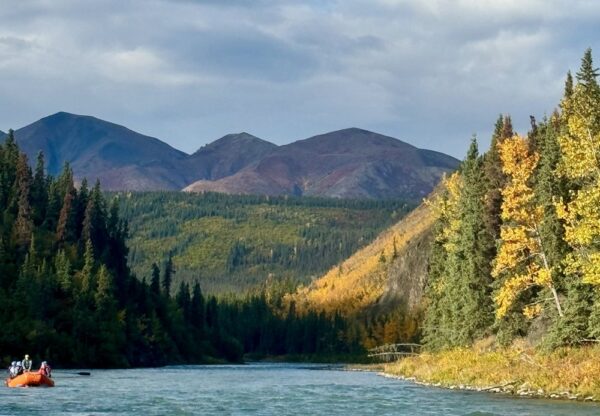 New Wave Adventures - Canyon Raft Tour for 1 - Denali - Image 2