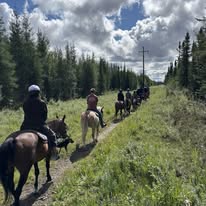 Celebration Ranch - (1) hour trail ride - Salcha