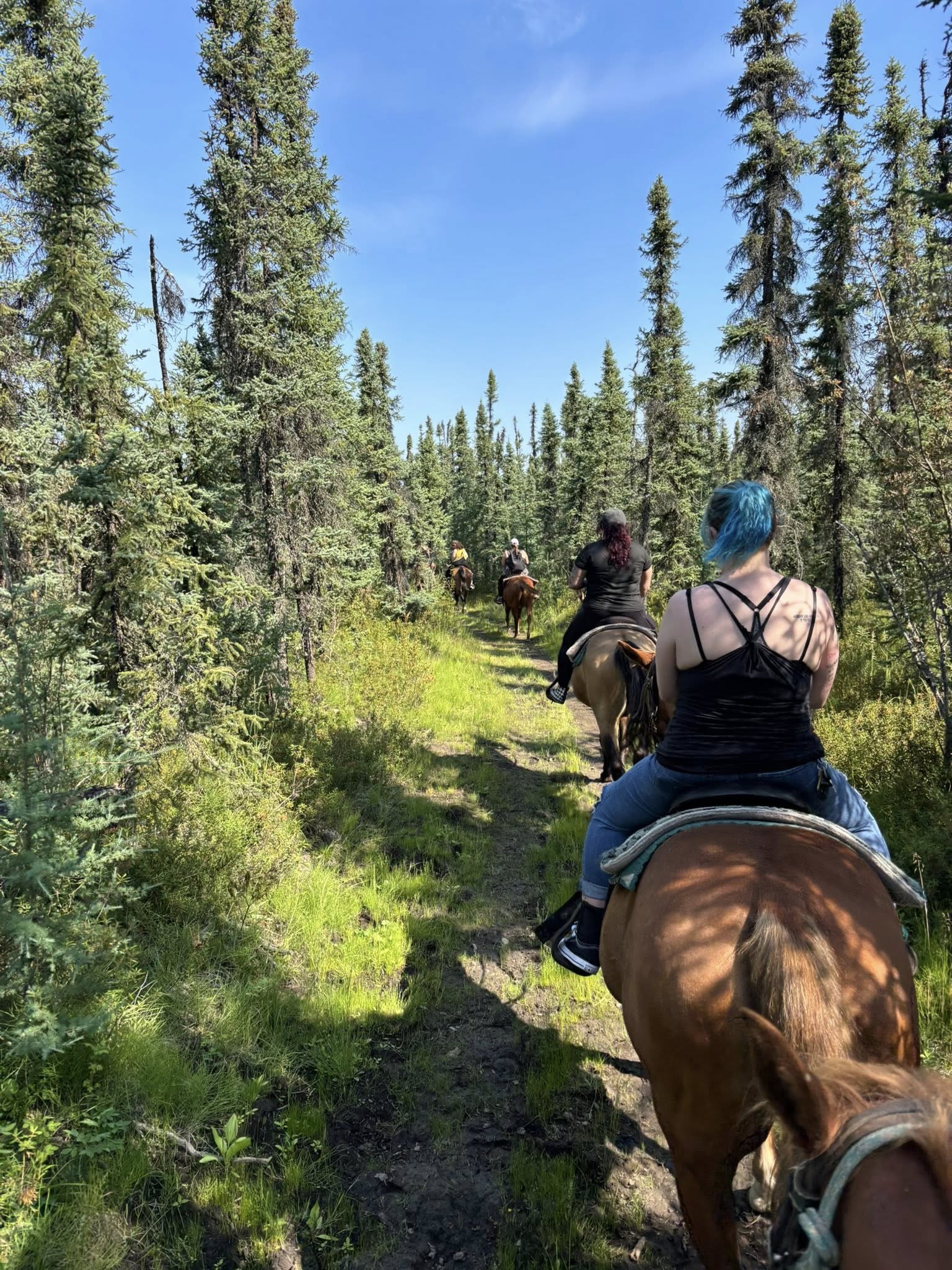 Celebration Ranch - (1) hour trail ride - Salcha - Image 4